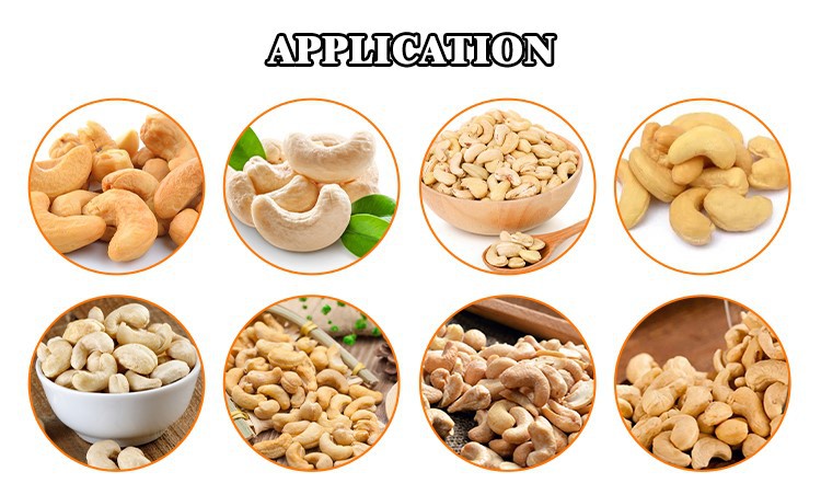 cashew nut processing machine cashew nut processing machine