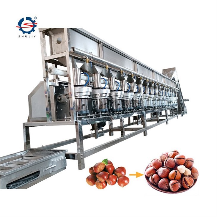 hazelnut processing machine