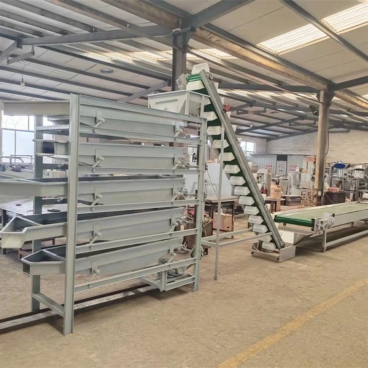 macadamia nuts processing plant