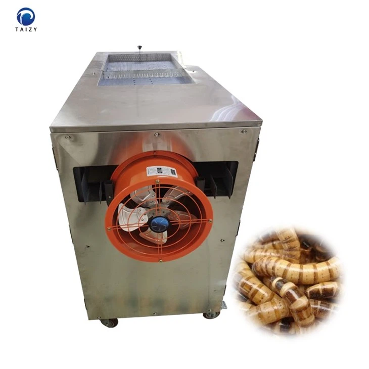Tenebrio molitor separator