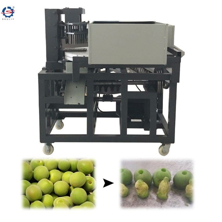 dates pitting machine