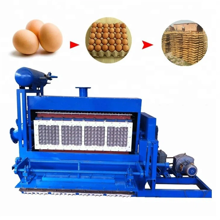 egg tray machine (14)