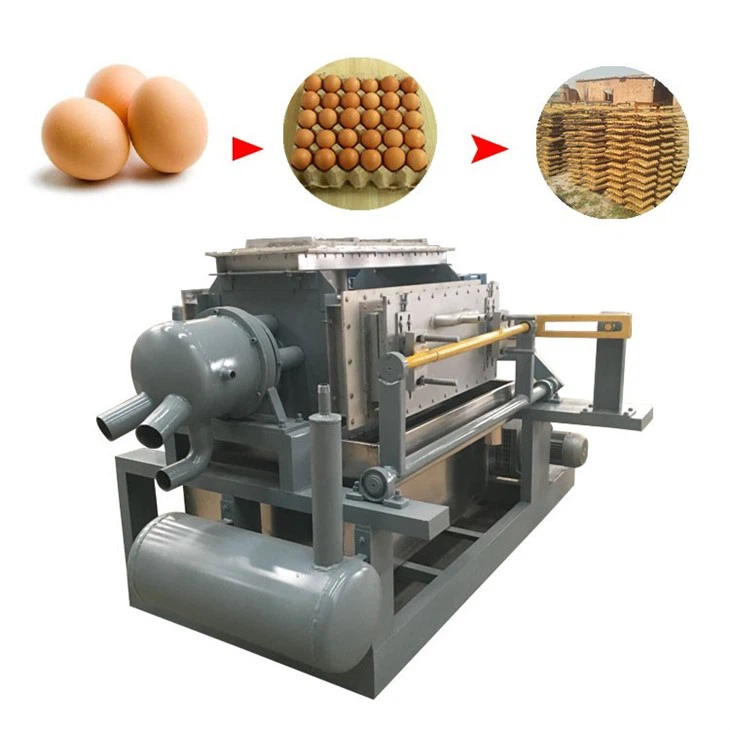 egg tray machine (8)