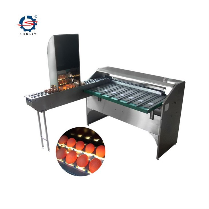 egg grading Sorting machine2