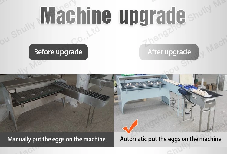 egg weight sorter egg weight sorter